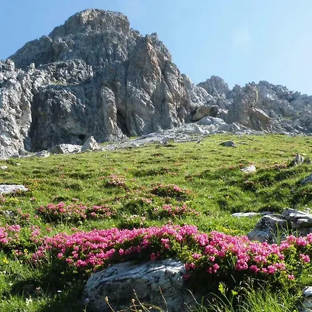 Holiday Alpenblick Osb02085 Fyb *